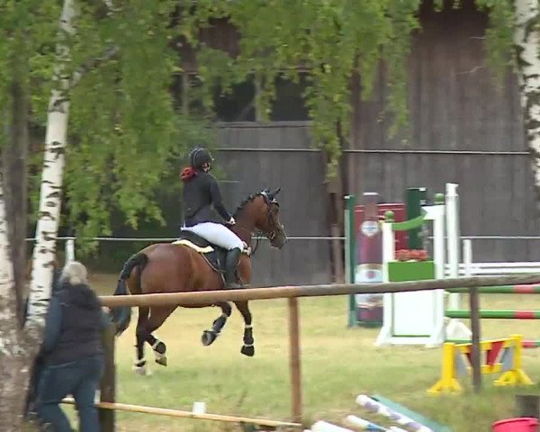 Reitturnier Hof-Haidt/Ofr. 2022