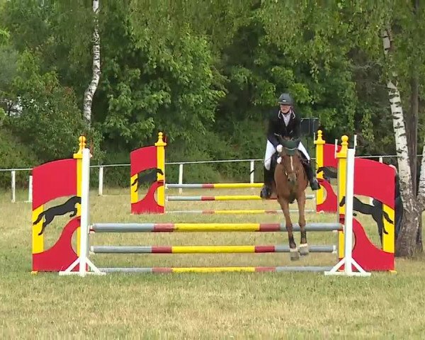 Reitturnier Hof-Haidt/Ofr. 2022
