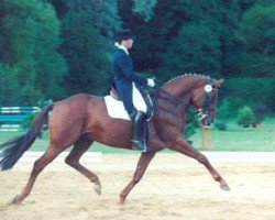 Pferd Chardonnay (Trakehner, 1989, von Rockefeller)