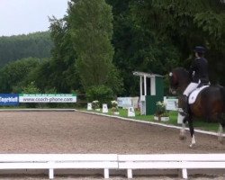 dressage horse Carabinieri 3 (Hessian Warmblood, 2002, from Charly Chaplin)