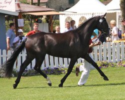 broodmare Elfchen (Westphalian, 2009, from Ehrenpreis)