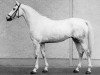 horse Fawiza (Trakehner, 1963, from Maharadscha)