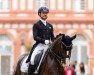 dressage horse Bellissimo's Bob (Oldenburg, 2015, from Belissimo NRW)