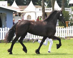 broodmare Lara (Friese, 2009, from Landgraf)