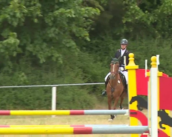Reitturnier Hof-Haidt/Ofr. 2022
