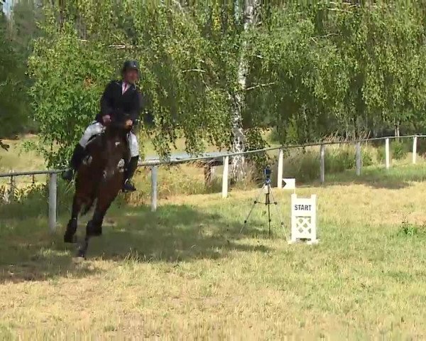 Reitturnier Hof-Haidt/Ofr. 2022