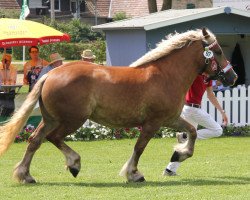 broodmare Eva (Rhenish-German Cold-Blood, 2009, from Erlander)