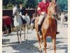 horse Vilja (Trakehner, 1955, from Julmond)
