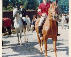 Zuchtstute Vilja (Trakehner, 1955, von Julmond)