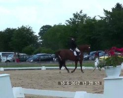 dressage horse Don Jueves (Oldenburg, 1999, from Donnerhall)