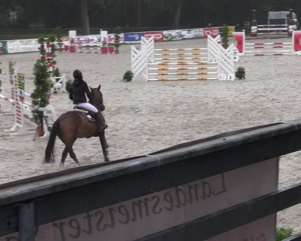 Reitturnier Prussendorf 2022