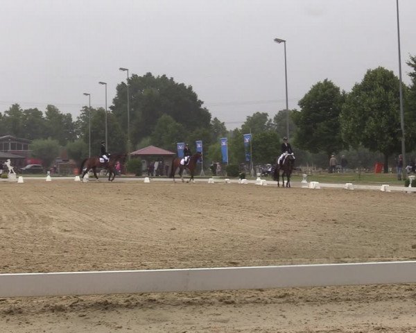 Reitturnier Münster-Roxel 2022