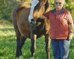 broodmare Taura (Holsteiner, 1981, from Lord)