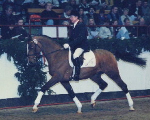 horse Cesano I (Holsteiner, 1994, from Caretino)