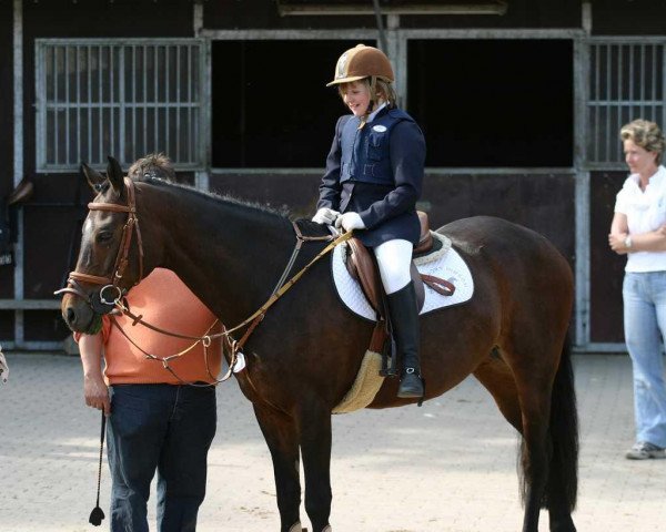 horse Comtesse (German Riding Pony, 1990, from Black Magic Diamant)