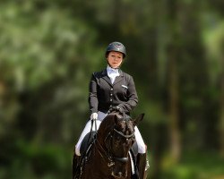 dressage horse Hubba Bubba (Trakehner, 2008, from Krokant)