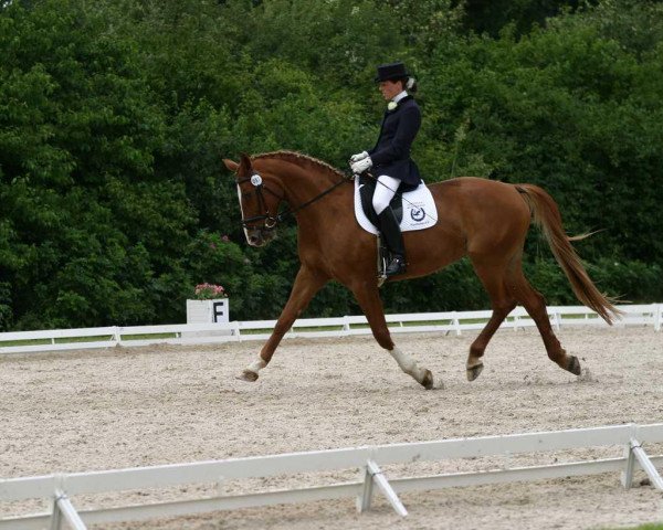 broodmare Freestyle (Oldenburg, 1992, from Feinbrand)