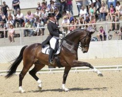 dressage horse Laurenti (Oldenburg, 2004, from Laurentio)