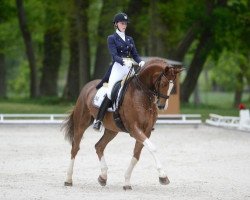 dressage horse Lord 1064 (Oldenburg, 2004, from Laurentio)