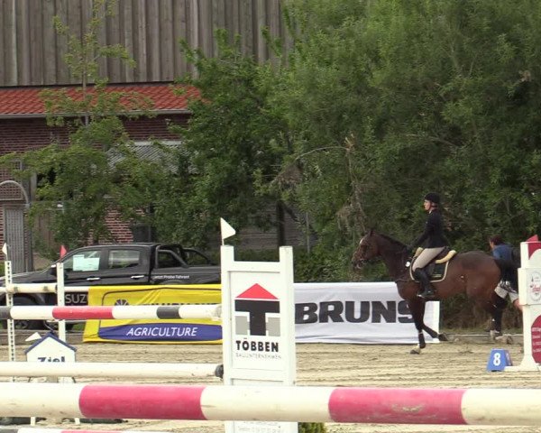 Reitturnier Haren-Raken 2022