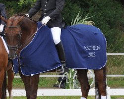 dressage horse Ronjon (Oldenburg, 2006, from Glock's Romanov)