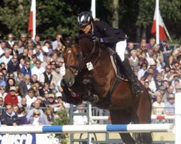 stallion Carell (Westphalian, 2005, from Cayetano L)