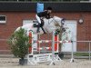 jumper VDL Groep True Blue B (KWPN (Royal Dutch Sporthorse), 2000, from Mr Blue)