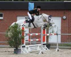 Springpferd VDL Groep True Blue B (KWPN (Niederländisches Warmblut), 2000, von Mr Blue)