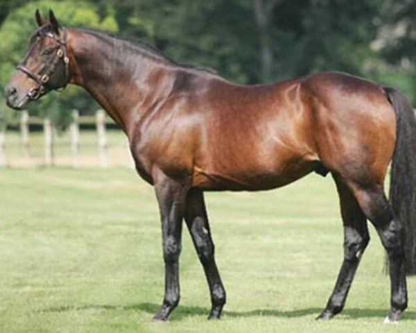 stallion Lando xx (Thoroughbred, 1990, from Acatenango xx)