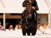 stallion Quilot Z (Oldenburg, 1992, from Quick Star)