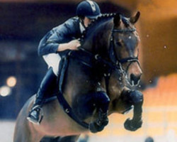 stallion Lands River (Holsteiner, 1991, from Landgraf I)