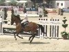 jumper Charivari Kg (Bavarian, 2004, from Candillo Z)