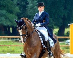 dressage horse Sisto (Hanoverian, 2007, from Sir Donnerhall I)