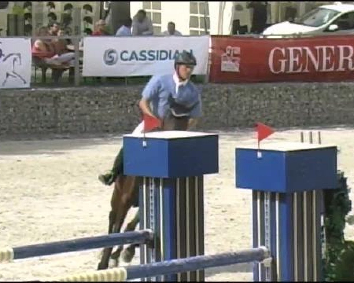 Springpferd Salina 132 (Hannoveraner, 2003, von Contendro I)