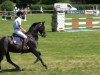 dressage horse Duchess Desiree (Oldenburg, 2005, from Don Primero)