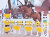 jumper Dusdy (Hanoverian, 1994, from Dynamo)