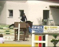 jumper Quick Jumper (Hanoverian, 2006, from Quidam's Rubin)