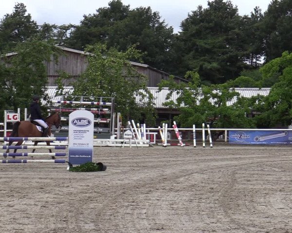Reitturnier Haren-Raken 2022