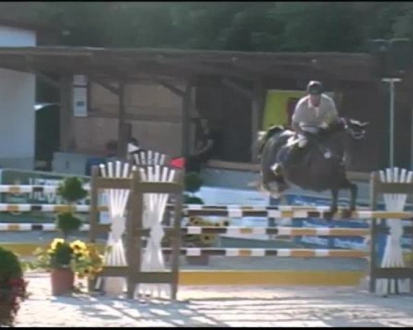 jumper Andjago (Bavarian, 2004, from Alvarez)