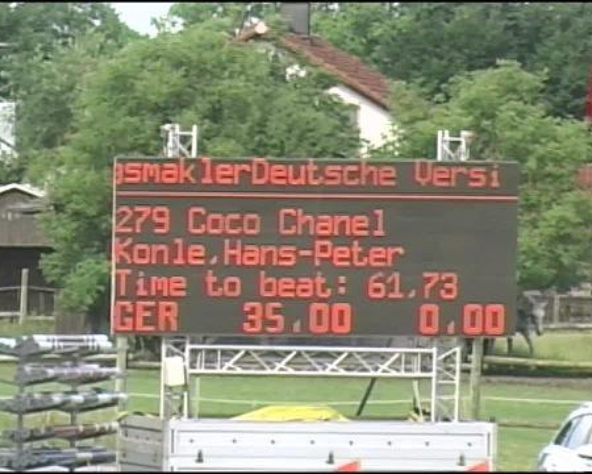 Zuchtstute Coco Chanel 125 (Belgisches Warmblut, 2003, von Chin Chin)