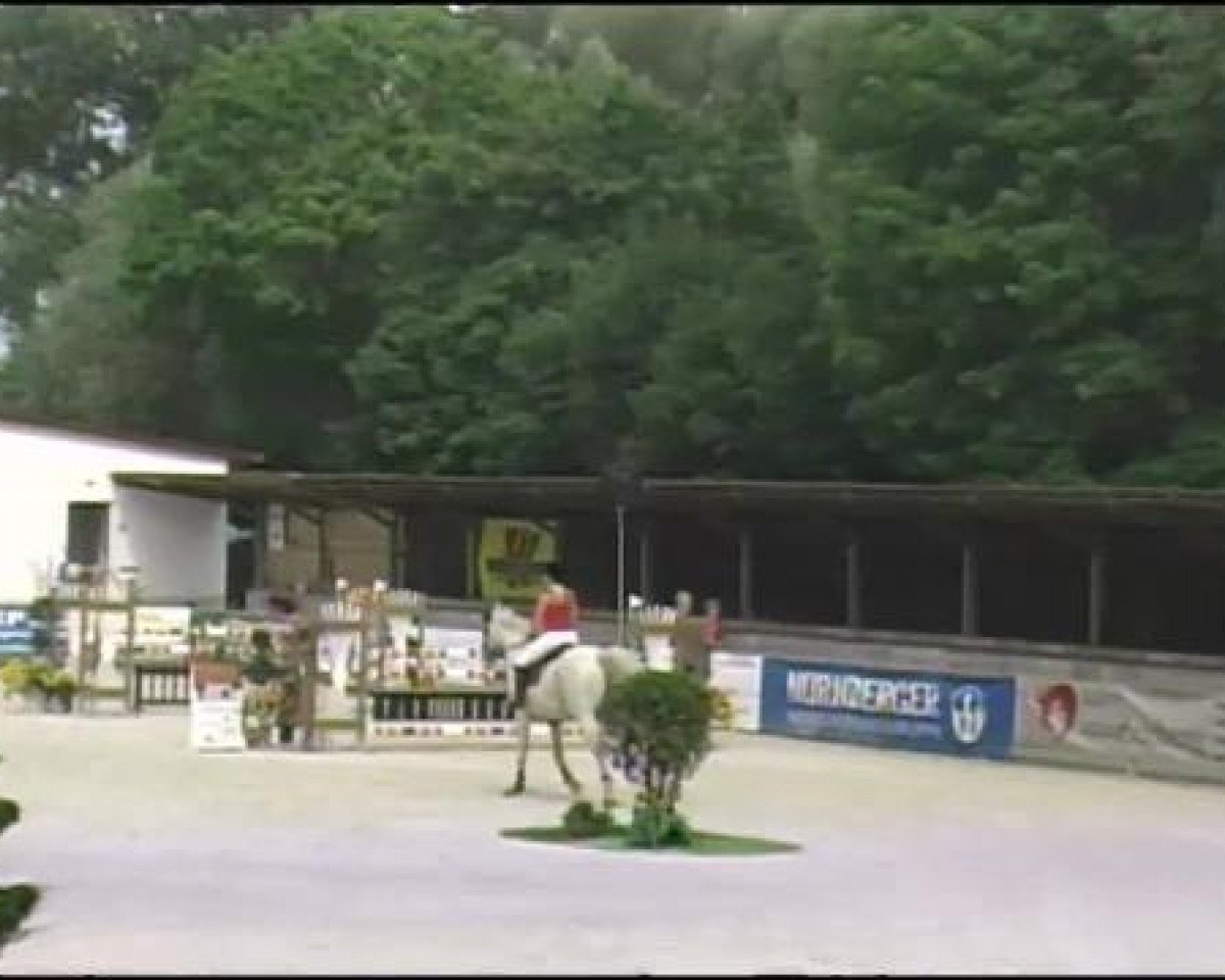 jumper Lightning 59 (Holsteiner, 1998, from Leandro)