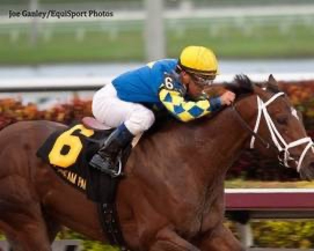 horse Encode xx (Thoroughbred, 2010, from Bernardini xx)