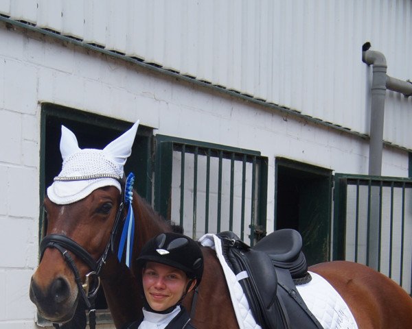 jumper Guardy (KWPN (Royal Dutch Sporthorse), 2011, from Diabeau)