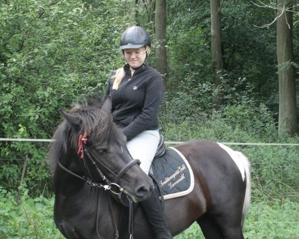 Pferd Madita Bause (Deutsches Reitpony,  , von Samson)