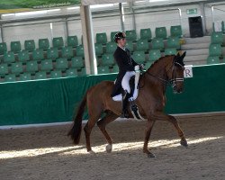 horse Funky Jazz GV (KWPN (Royal Dutch Sporthorse), 2010, from Jazz)