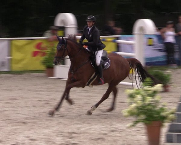 Reitturnier Prussendorf 2022