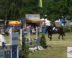 Springpferd Lorio 15 (Hessisches Warmblut, 1993, von Luxus)