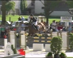 jumper Mayar (KWPN (Royal Dutch Sporthorse), 2003, from Bmc Nassau)