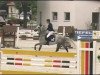 jumper Fortunato 7 (Oldenburg show jumper, 2005, from Forsyth)