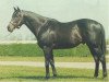 stallion Never Bend xx (Thoroughbred, 1960, from Nasrullah xx)